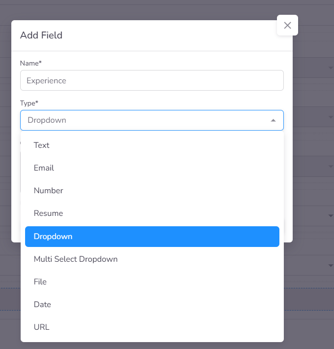 Application Candidate Fields